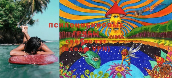 марки lsd Болхов